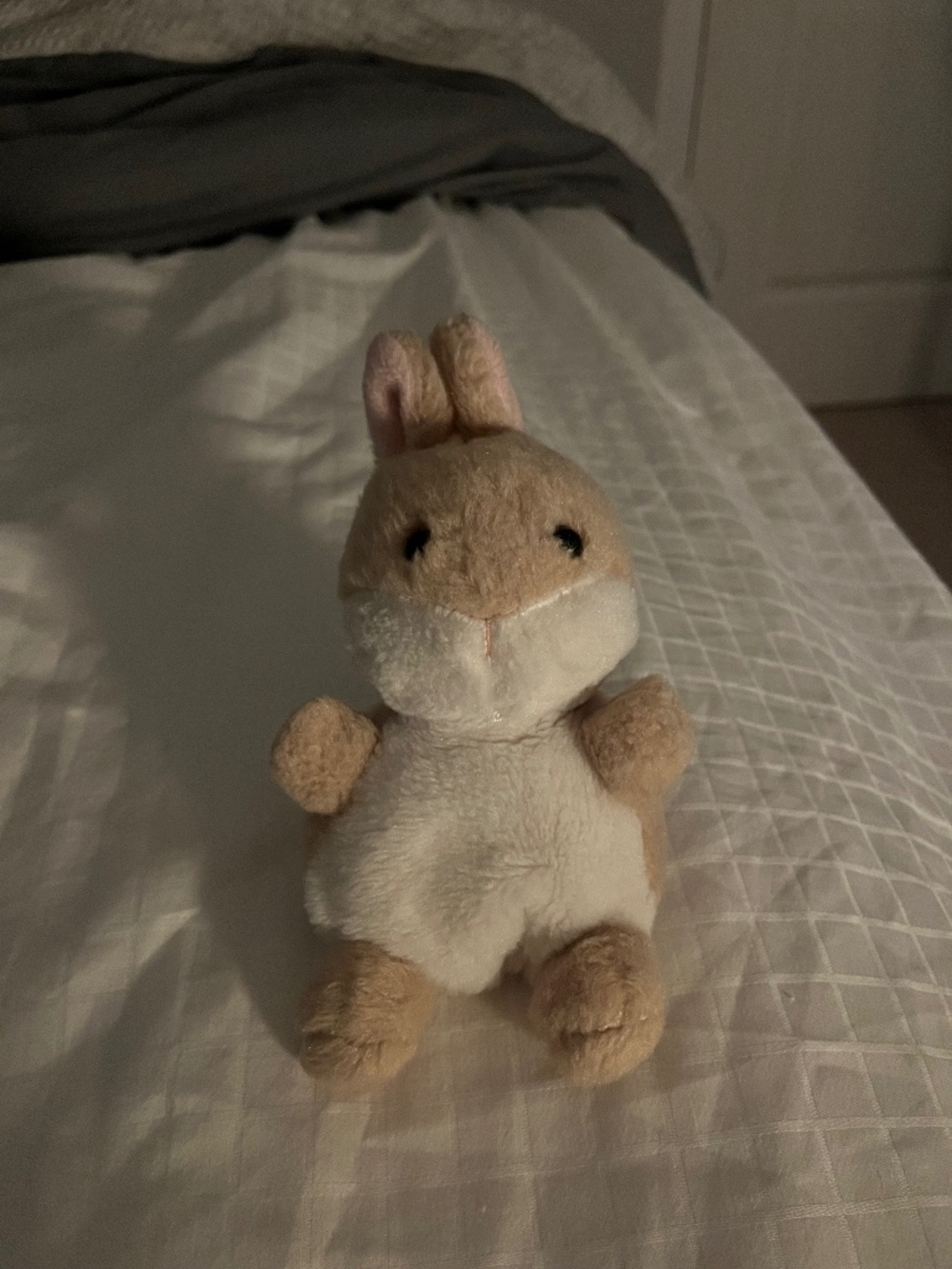 PALMPALS BUNNY STUFFED ANIMAL